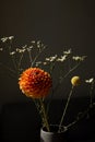 Beautiful orange coloured sunny Dahlia flower , yellow craspedia and white dried flowers, modern bouquet flowers dark Royalty Free Stock Photo