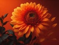 Beautiful orange dahlia flower on a dark red background. generative ai Royalty Free Stock Photo