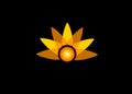 beautiful orange flower or sunlight logo