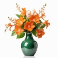 Beautiful orange flowers in luxury green vase, elegant. Isolated on white background.