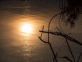 Beautiful orange Golden Twilight Sunset reflecting on calm lake Water Surface with dark stick and trees Royalty Free Stock Photo