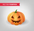 Beautiful orange Halloween pumpkin on a light gray background. Carved spooky Jack o`lantern for card or banner design. - Vector Royalty Free Stock Photo