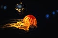 Beautiful Orange jellyfish or Pacific sea nettle Chrysaora fuscescens motion dancing in the darkness of the sea background