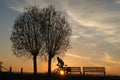 Sunrise with silhouet of trees and cyclist