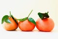 Beautiful orange mandarines Royalty Free Stock Photo