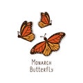 Beautiful orange monarch butterflies side and top view. Set of hand drawn in cartoon style vector colorful flying insects on Royalty Free Stock Photo