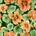 Beautiful orange nasturtium flowers nose-twister with leaves on green background. Seamless floral pattern. Watercolor painting