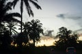 Beautiful orange and pink sunset illuminated by a golden light, with palm trees against the sky Royalty Free Stock Photo