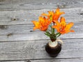 Beautiful orange saffron lilies flowers on wooden table