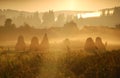 Beautiful orange sunrise and fog