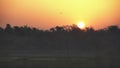 A beautiful orange sunrise at tadoba andhari tiger reserve