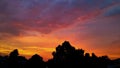 Beautiful orange sunset over the fluffy clouds in the sky over the silhouette of trees Royalty Free Stock Photo