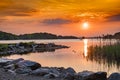 Beautiful orange sunset over a lake with ducks and reed golden hour