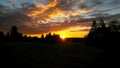 Beautiful orange sunset / sunrise with cirrus clouds over rural field with silhouettes of forest trees and horizon line. Royalty Free Stock Photo