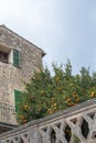 Beautiful orange tree with fruits against old traditional stone house Royalty Free Stock Photo