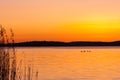 Beautiful orange winter sunset over water and land with birds on a lake. Royalty Free Stock Photo