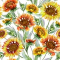 Beautiful orange and yellow coreopsis flowers with leaves on white background. Seamless botanical pattern. Watercolor painting. Royalty Free Stock Photo