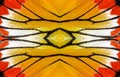 Orange and Yellow pattern background made from Painted Jezebel butterfly wings Royalty Free Stock Photo