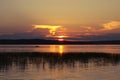 Beautiful sunset behind the lake with scirpus Royalty Free Stock Photo