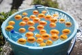 Beautiful oranges cooling in bowl with water, Chefchouen, Morocco