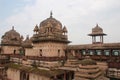 Beautiful orchaa ancient fort Jahangir palcae