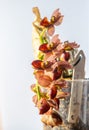 Beautiful orchid flower. Catasetum tupa variety. Branch peduncle with buds. A rare species of spotted orchid. Brown red Royalty Free Stock Photo