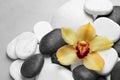 Beautiful orchid flower among different spa stones on table. Space for text Royalty Free Stock Photo