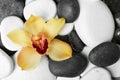 Beautiful orchid flower among different spa stones, top view. Royalty Free Stock Photo