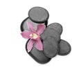 Beautiful orchid flower and spa stones on white background Royalty Free Stock Photo