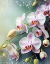 beautiful orchid flowers make a pretty floral background or border