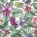 Beautiful orchid flowers and monstera leaves on white background. Seamless tropical floral pattern. Watercolor painting.