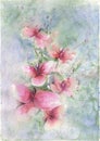 Beautiful orchid twig on blurred background. Watercolor painting. Hand painted illustration