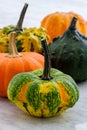 Organic summer squash Royalty Free Stock Photo