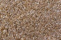 Close up Brown flax seeds Linum usitatissimum background.