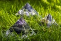 Beautiful Orgone Generator Pyramids in grass Royalty Free Stock Photo