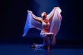 Beautiful oriental dancer Royalty Free Stock Photo