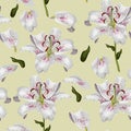 Beautiful oriental lily flowers, leaves and petals on pastel green background sramless pattern. Royalty Free Stock Photo