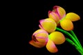 Beautiful oriental pink lotus flower buds with psychedelic colors against black background