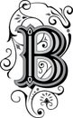 Beautiful ornament, Letter B