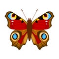 Butterfly with beautiful ornamental red wings. Vector illustration. Royalty Free Stock Photo