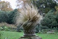 Beautiful ornamental grasses blowing in breeze with lush garden behind Royalty Free Stock Photo