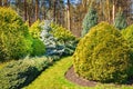 Ornamental landscaped garden with conifers Royalty Free Stock Photo