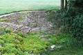 A beautiful ornate landscaped low round curved brick garden wall with lush grass trees and foliage perfect for background Royalty Free Stock Photo