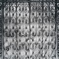 Beautiful ornate wrought iron security doors