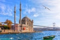 Beautiful Ortakoy Mosque in Istanbul, close view Royalty Free Stock Photo