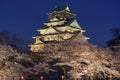 Beautiful Osaka castle during cherry blossom sakura season, Osaka, Japan Royalty Free Stock Photo