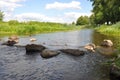 Beautiful Oster river rocks view. Royalty Free Stock Photo