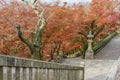 The beautiful Otowa-san Kiyomizu-dera in fall color