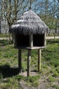 Beautiful outdoor lemurs tree house. Royalty Free Stock Photo