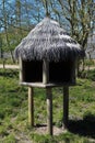 Beautiful outdoor lemurs tree house. Royalty Free Stock Photo